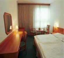 Hotel Olsanka - Double Room